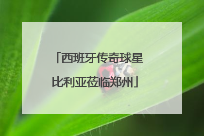 西班牙传奇球星 比利亚莅临郑州