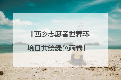 西乡志愿者世界环境日共绘绿色画卷