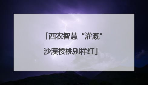 西农智慧“灌溉” 沙漠樱桃别样红