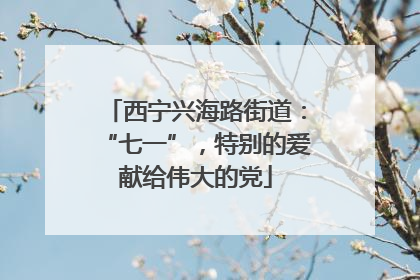 西宁兴海路街道：“七一”，特别的爱献给伟大的党
