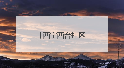 西宁西台社区：党群携手 “粽”享温情
