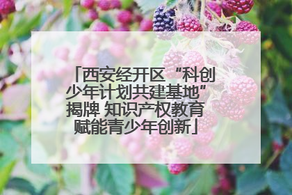 西安经开区“科创少年计划共建基地”揭牌 知识产权教育赋能青少年创新