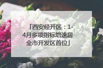 西安经开区：1-4月多项指标增速居全市开发区首位