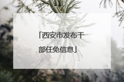 西安市发布干部任免信息