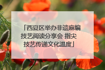 西夏区举办非遗麻编技艺阅读分享会 指尖技艺传递文化温度