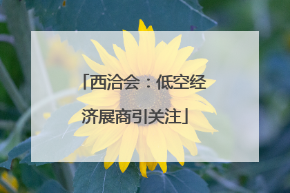 西洽会：低空经济展商引关注
