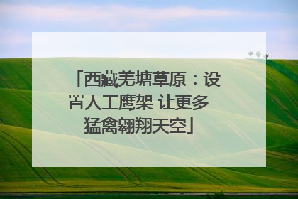 西藏羌塘草原：设置人工鹰架 让更多猛禽翱翔天空