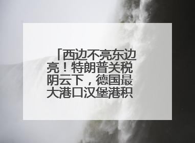 西边不亮东边亮！特朗普关税阴云下，德国最大港口汉堡港积极“向东看”