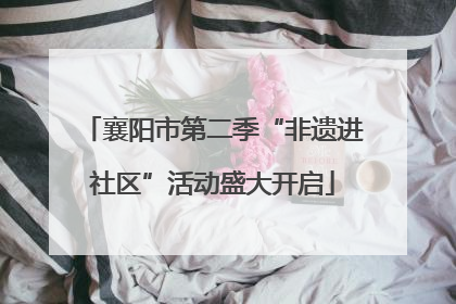 襄阳市第二季“非遗进社区”活动盛大开启