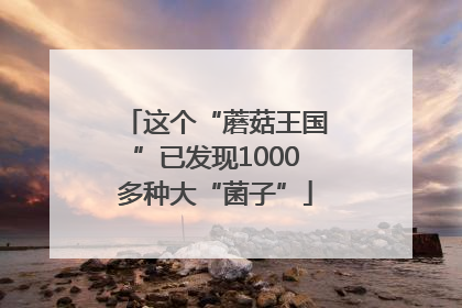 这个“蘑菇王国”已发现1000多种大“菌子”