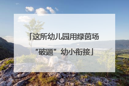 这所幼儿园用绿茵场“破题”幼小衔接