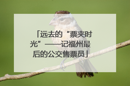 远去的“票夹时光”——记福州最后的公交售票员