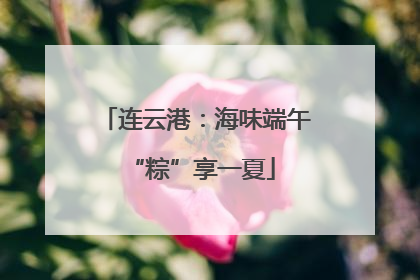 连云港：海味端午 “粽”享一夏
