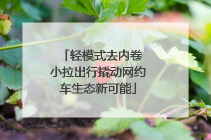 轻模式去内卷 小拉出行撬动网约车生态新可能