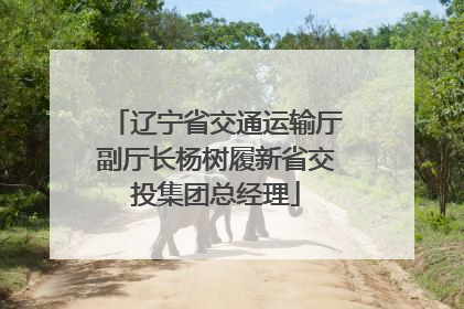 辽宁省交通运输厅副厅长杨树履新省交投集团总经理
