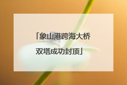 象山港跨海大桥双塔成功封顶