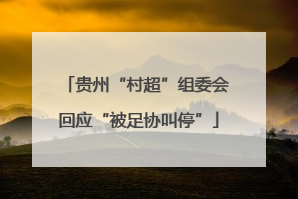贵州“村超”组委会回应“被足协叫停”