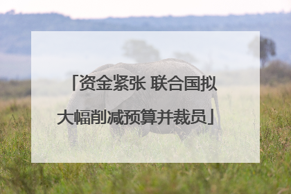 资金紧张 联合国拟大幅削减预算并裁员