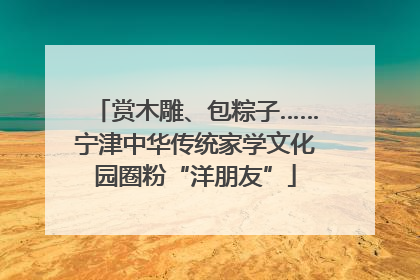 赏木雕、包粽子……宁津中华传统家学文化园圈粉“洋朋友”