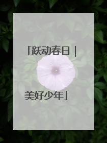 跃动春日｜美好少年