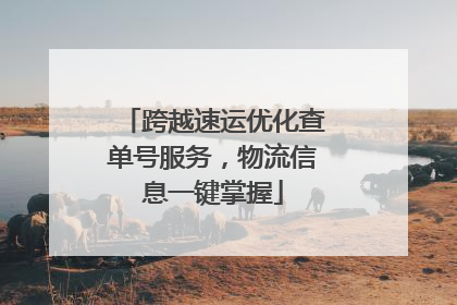跨越速运优化查单号服务，物流信息一键掌握
