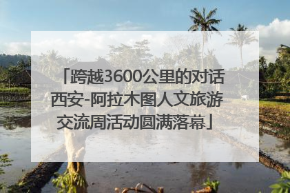 跨越3600公里的对话 西安-阿拉木图人文旅游交流周活动圆满落幕
