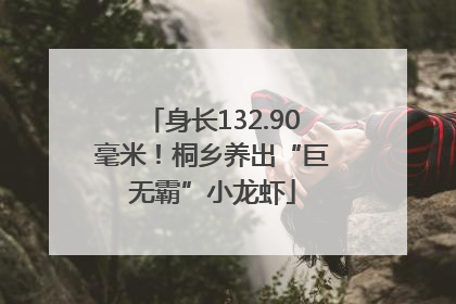 身长132.90毫米！桐乡养出“巨无霸”小龙虾
