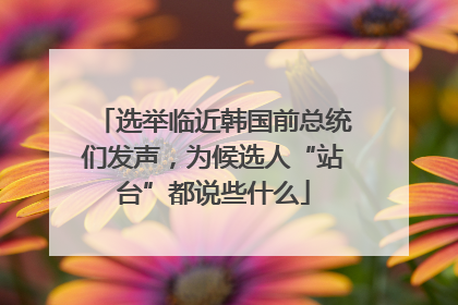 选举临近韩国前总统们发声，为候选人“站台”都说些什么