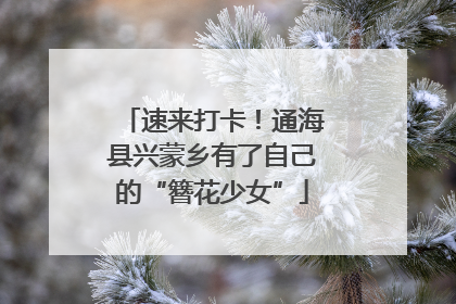 速来打卡！通海县兴蒙乡有了自己的“簪花少女”