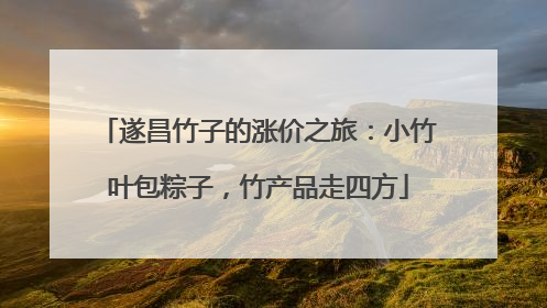 遂昌竹子的涨价之旅：小竹叶包粽子，竹产品走四方