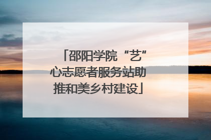 邵阳学院“艺”心志愿者服务站助推和美乡村建设