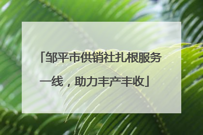 邹平市供销社扎根服务一线，助力丰产丰收