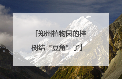 郑州植物园的梓树结“豆角”了