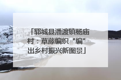 郓城县潘渡镇杨庙村：草藤编织“编”出乡村振兴新图景