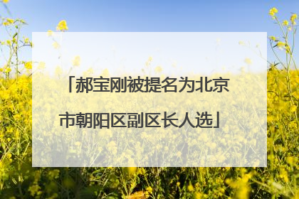 郝宝刚被提名为北京市朝阳区副区长人选