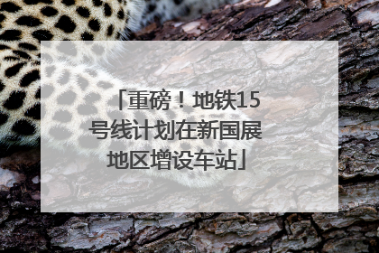 重磅！地铁15号线计划在新国展地区增设车站