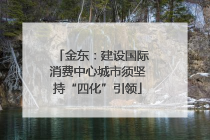 金东：建设国际消费中心城市须坚持“四化”引领