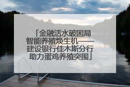 金融活水破困局 智能养殖焕生机——建设银行佳木斯分行助力蛋鸡养殖突围
