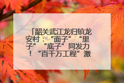韶关武江龙归镇龙安村：“面子”“里子”“底子”同发力！“百千万工程”激活乡村新动能