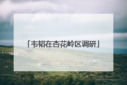 韦韬在杏花岭区调研