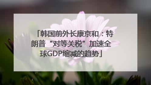 韩国前外长康京和：特朗普“对等关税”加速全球GDP缩减的趋势