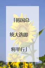 韩国总统大选即将举行