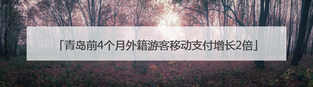 青岛前4个月外籍游客移动支付增长2倍