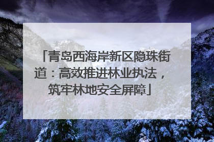 青岛西海岸新区隐珠街道：高效推进林业执法，筑牢林地安全屏障