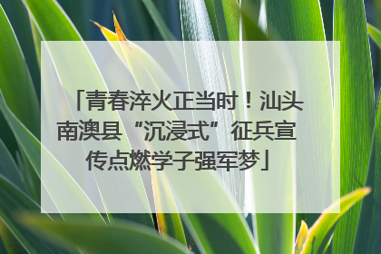 青春淬火正当时！汕头南澳县“沉浸式”征兵宣传点燃学子强军梦