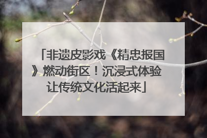 非遗皮影戏《精忠报国》燃动街区！沉浸式体验让传统文化活起来