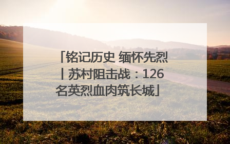 铭记历史 缅怀先烈丨苏村阻击战：126名英烈血肉筑长城