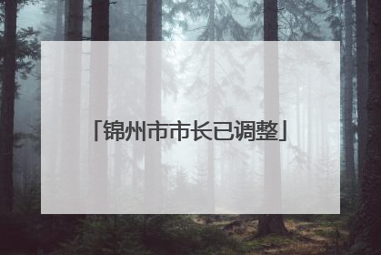 锦州市市长已调整