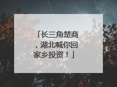 长三角楚商，湖北喊你回家乡投资！