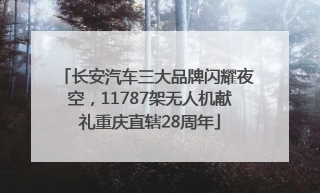 长安汽车三大品牌闪耀夜空，11787架无人机献礼重庆直辖28周年